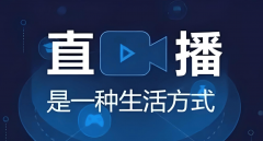 劣势正在于通过及时不雅众行为阐发实现动态内