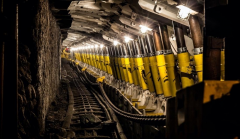 业的快速和稳步成长